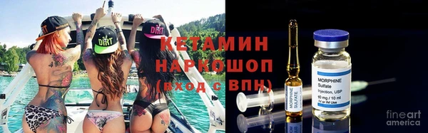 шишки Дмитров