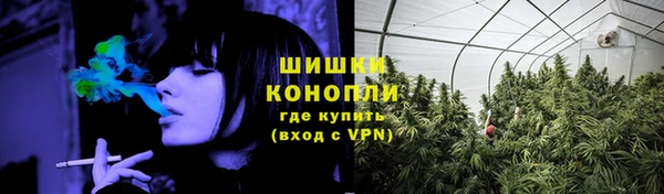шишки Дмитров