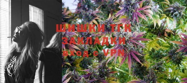 МДПВ Дмитриев