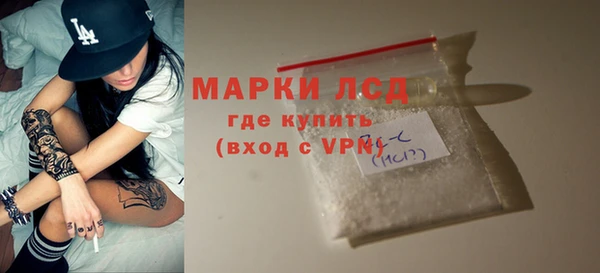 шишки Дмитров
