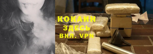 шишки Дмитров