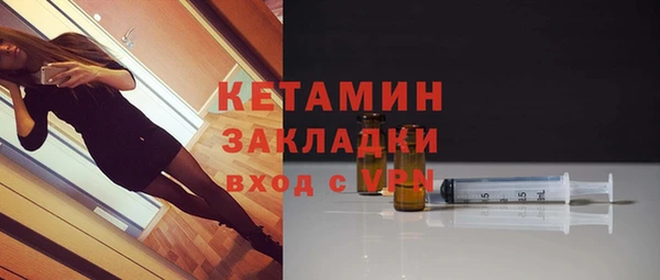 шишки Дмитров