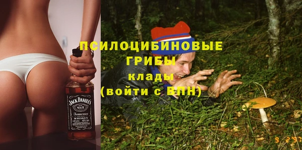 шишки Дмитров