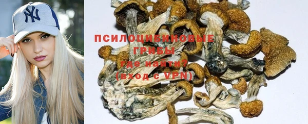 шишки Дмитров