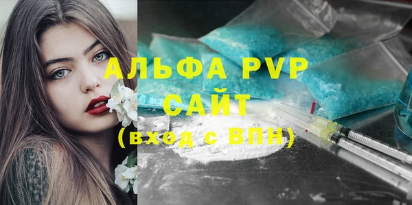 шишки Дмитров