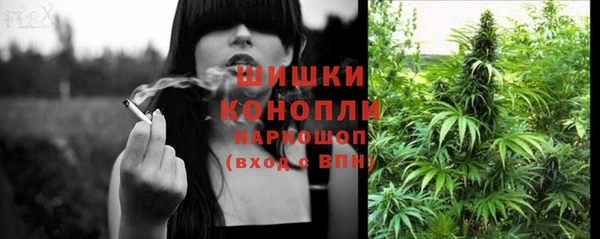 шишки Дмитров