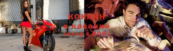 МДПВ Дмитриев
